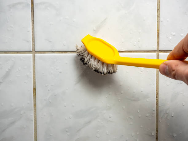 Best Attic Mold Removal  in Ninety Six, SC