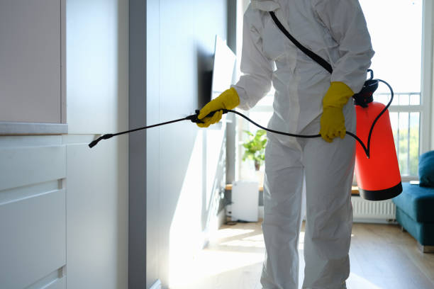 Best Home Mold Removal  in Ninety Six, SC